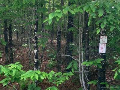 Residential Land For Sale in Dedham, Maine