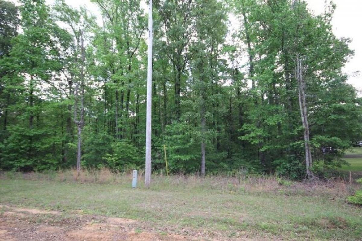 Picture of Residential Land For Sale in North, South Carolina, United States