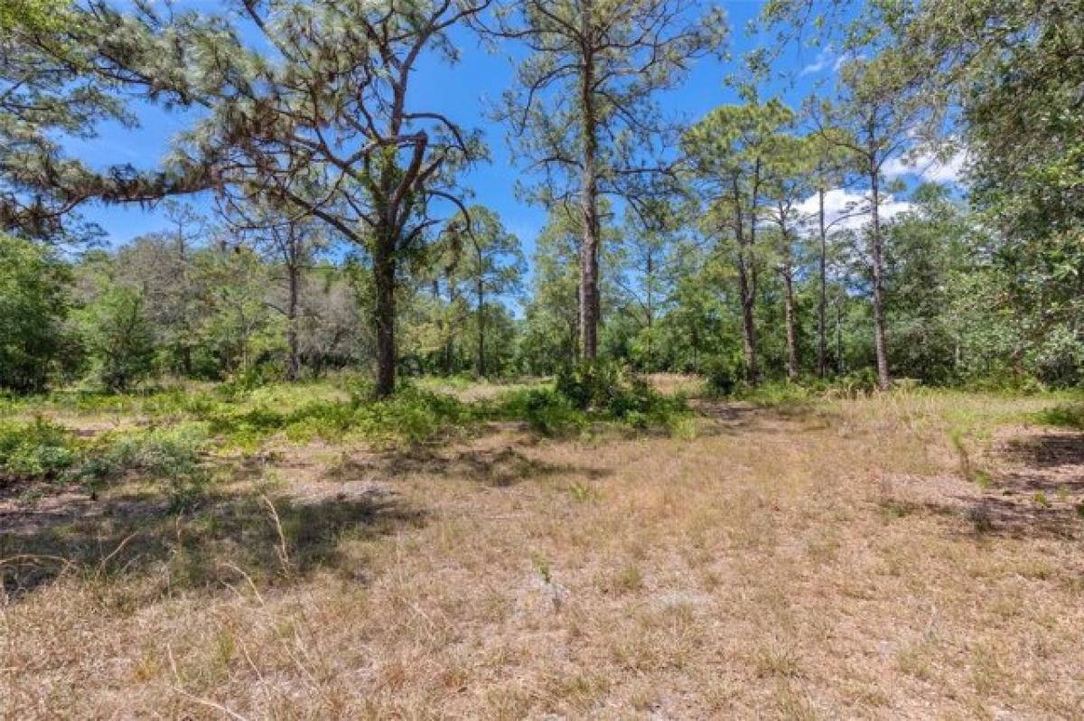 Picture of Residential Land For Sale in Tarpon Springs, Florida, United States