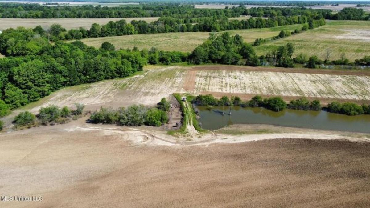 Picture of Residential Land For Sale in Lambert, Mississippi, United States