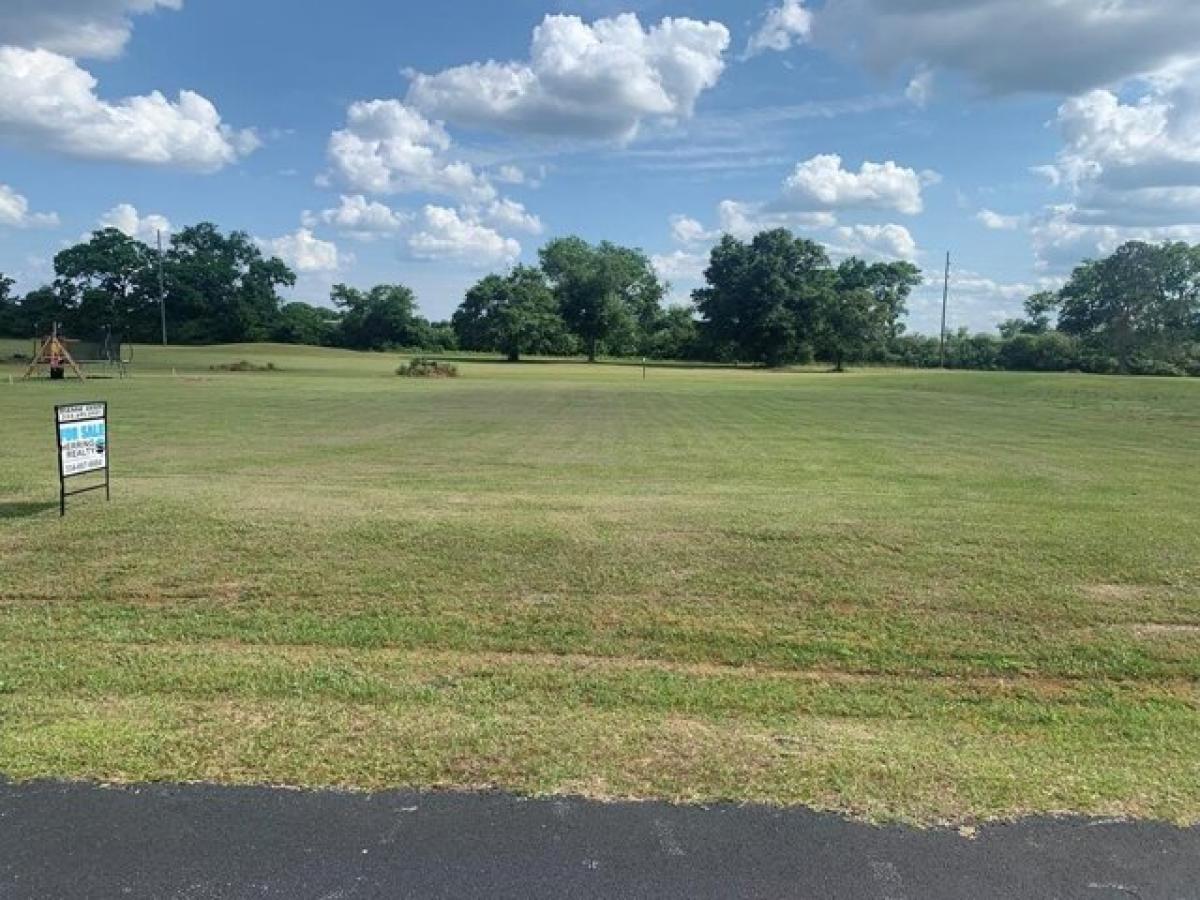 Picture of Residential Land For Sale in Eufaula, Alabama, United States