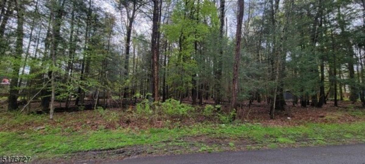 Picture of Residential Land For Sale in Montague, New Jersey, United States