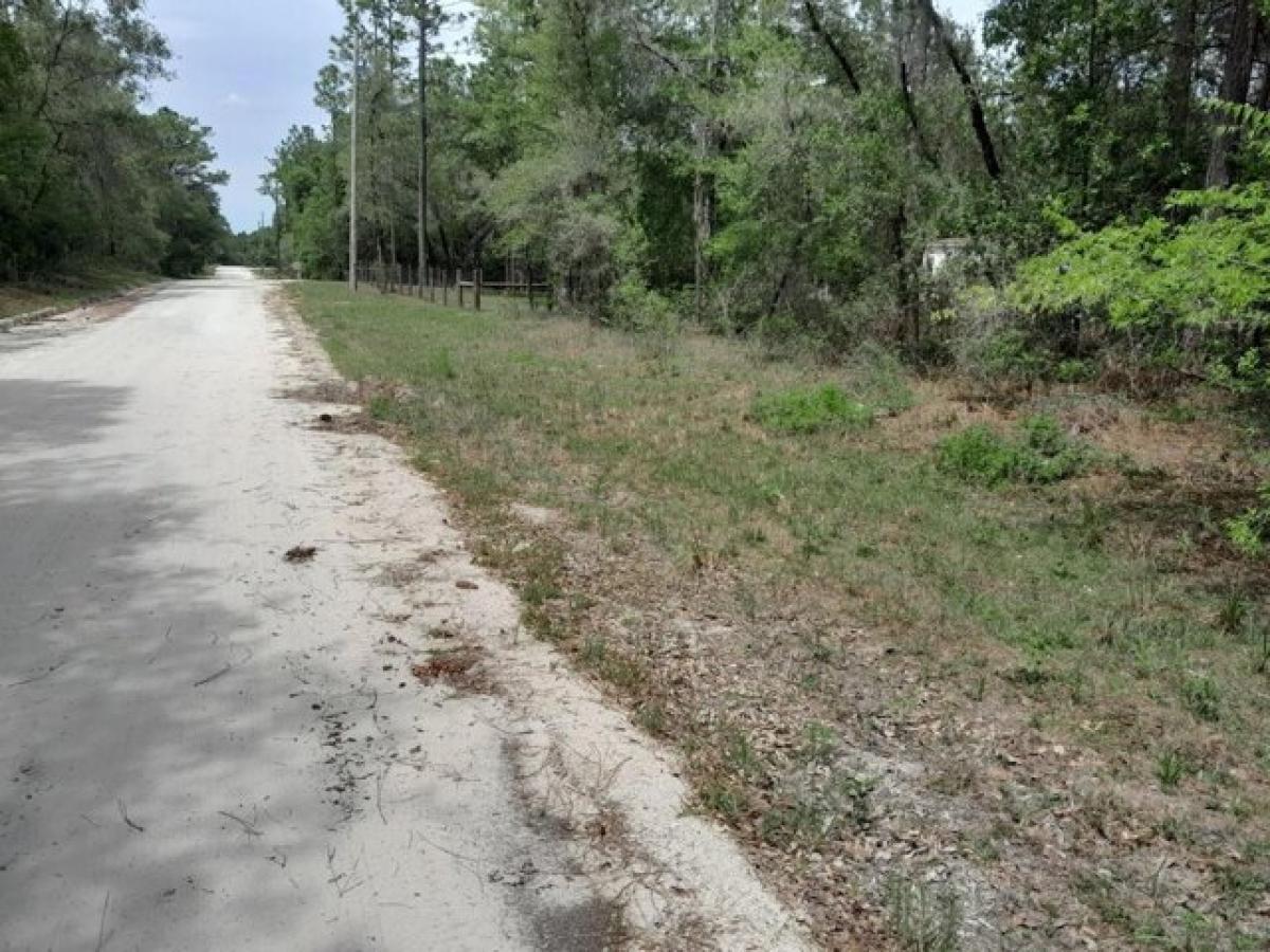 Picture of Residential Land For Sale in Morriston, Florida, United States