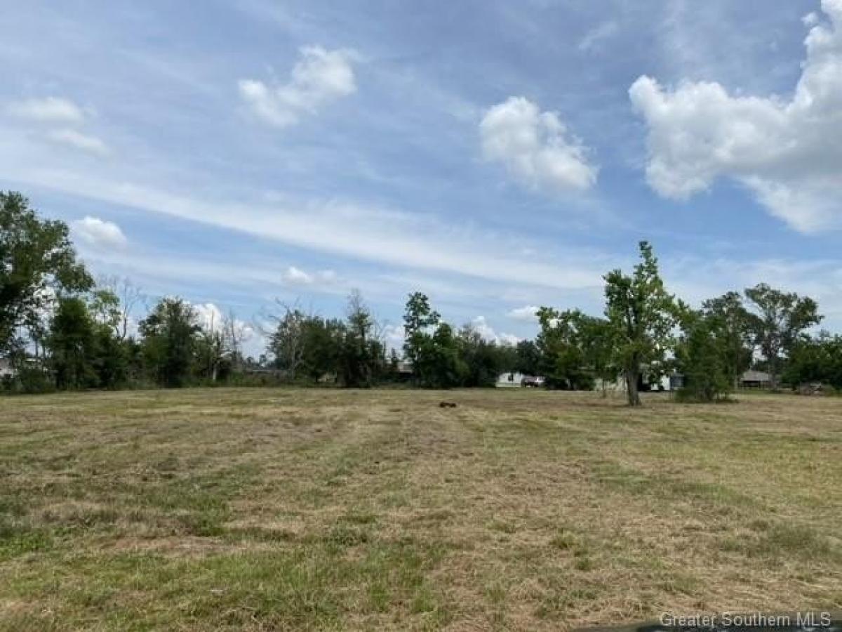 Picture of Residential Land For Sale in Lake Charles, Louisiana, United States