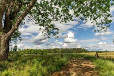 Residential Land For Sale in Atlanta, Texas