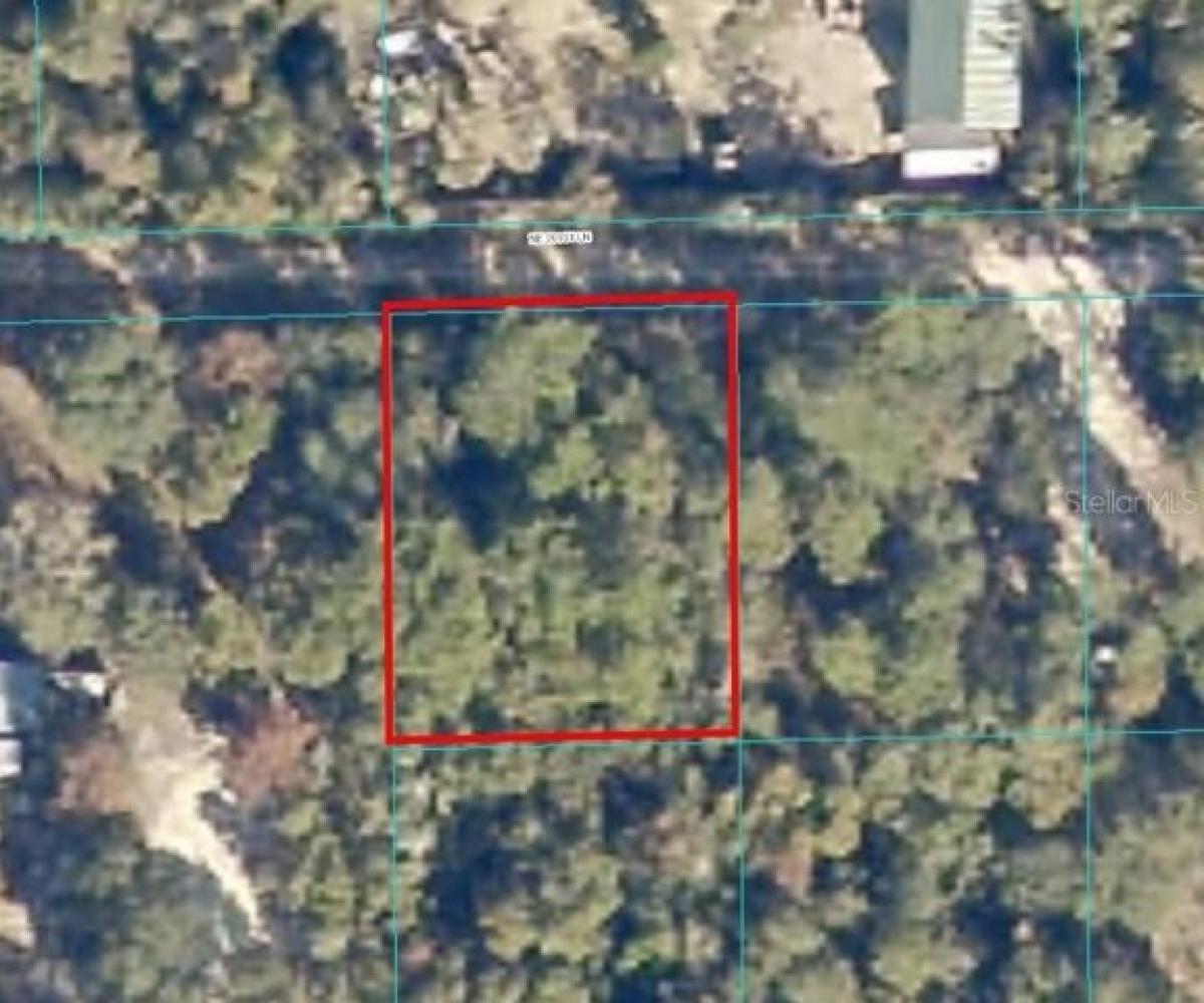 Picture of Residential Land For Sale in Fort Mccoy, Florida, United States