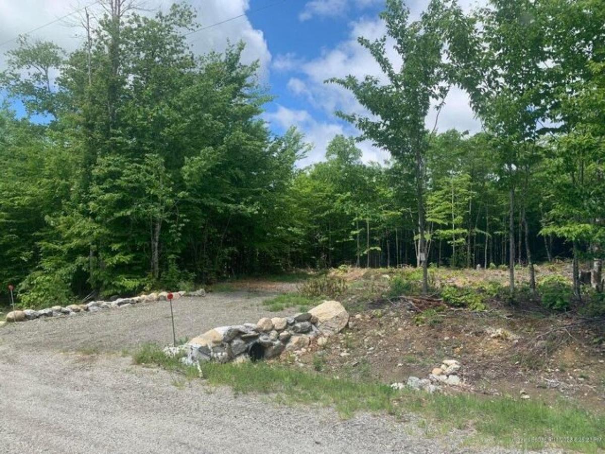 Picture of Residential Land For Sale in Dedham, Maine, United States