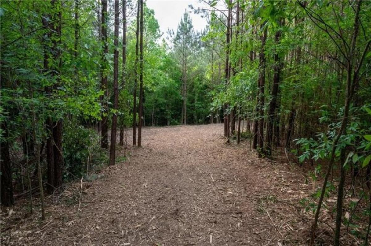 Picture of Residential Land For Sale in Sugar Valley, Georgia, United States