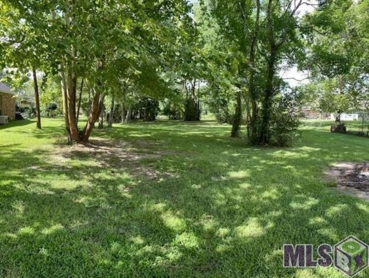 Picture of Residential Land For Sale in Gonzales, Louisiana, United States