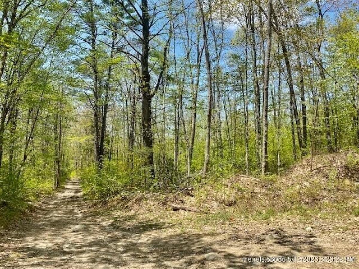 Picture of Residential Land For Sale in Hiram, Maine, United States