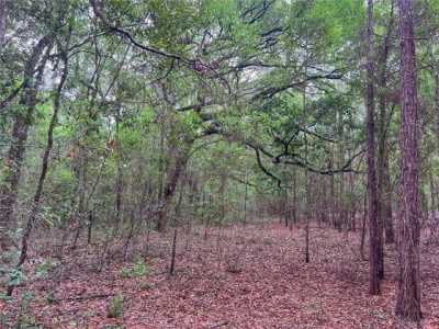 Residential Land For Sale in High Springs, Florida