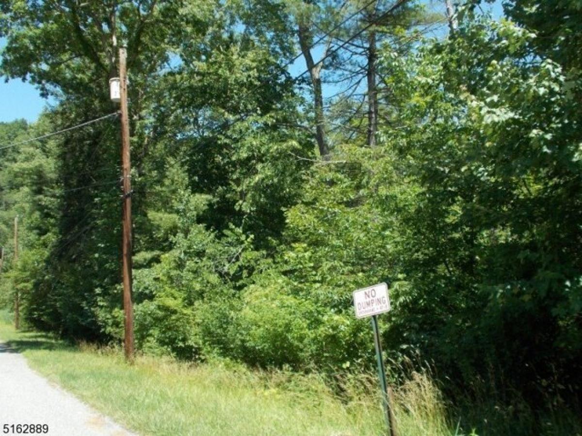 Picture of Residential Land For Sale in Montague, New Jersey, United States