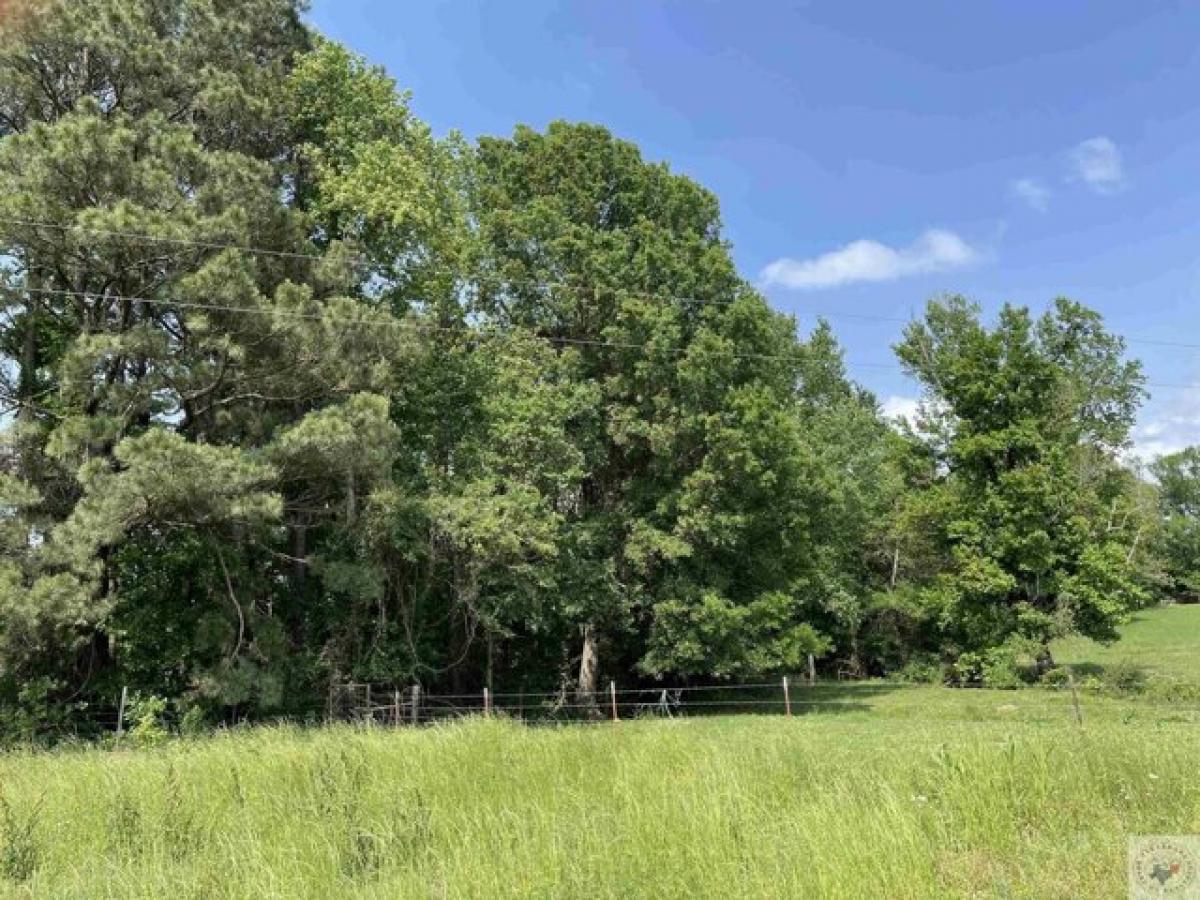 Picture of Residential Land For Sale in Atlanta, Texas, United States