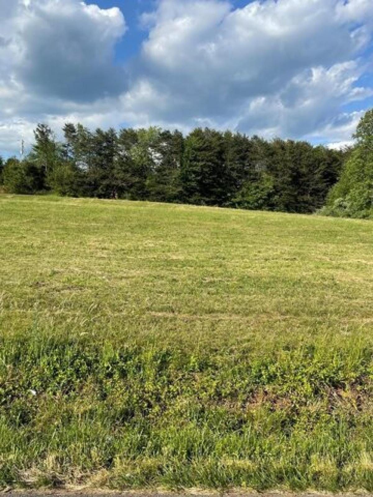 Picture of Residential Land For Sale in Bassett, Virginia, United States