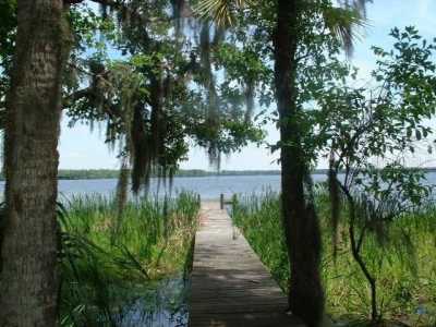 Residential Land For Sale in Salt Springs, Florida