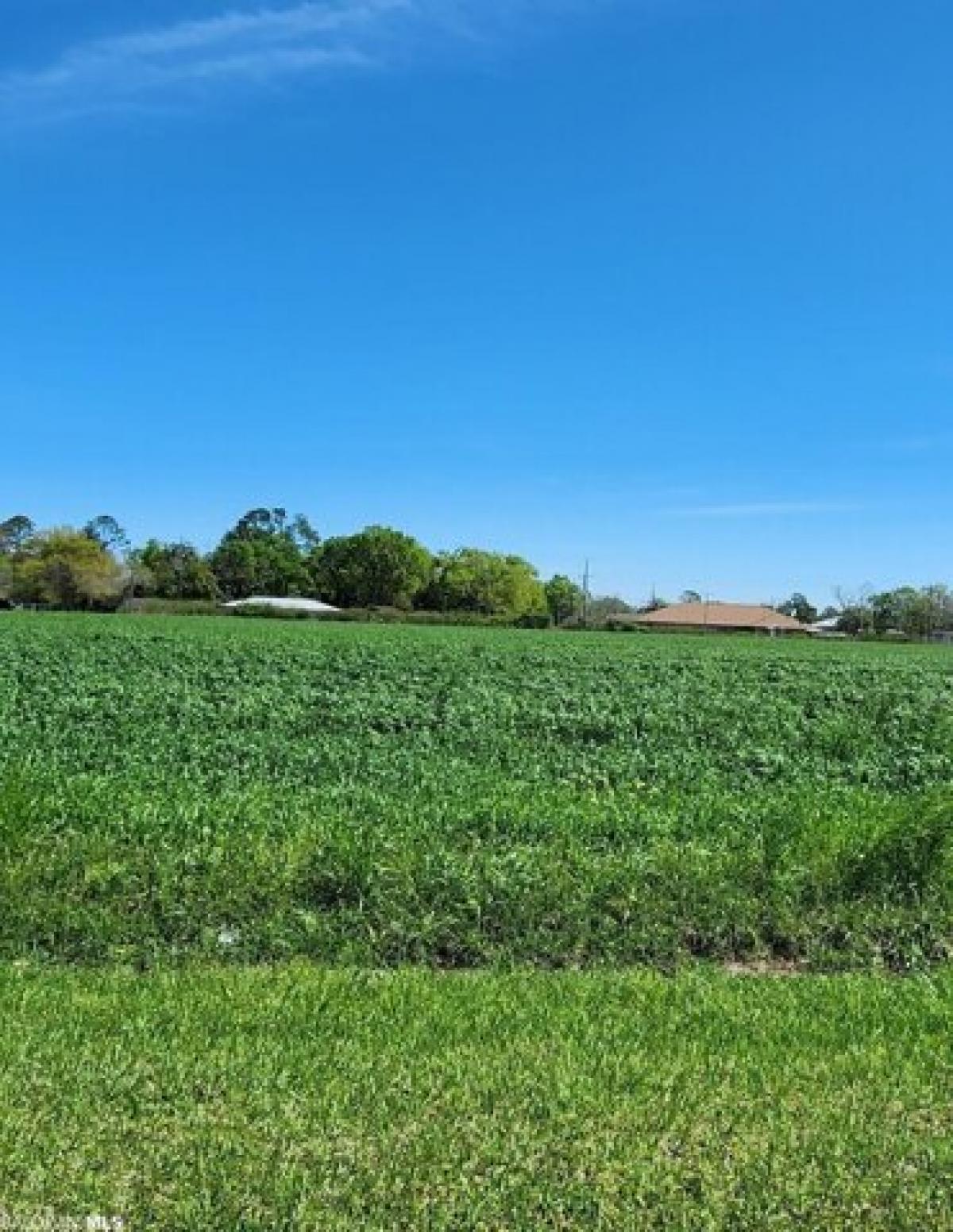 Picture of Residential Land For Sale in Elberta, Alabama, United States