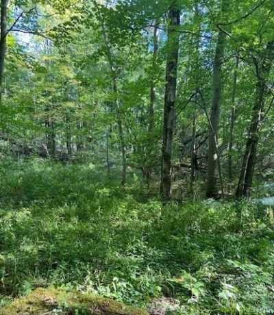 Residential Land For Sale in Cicero, New York