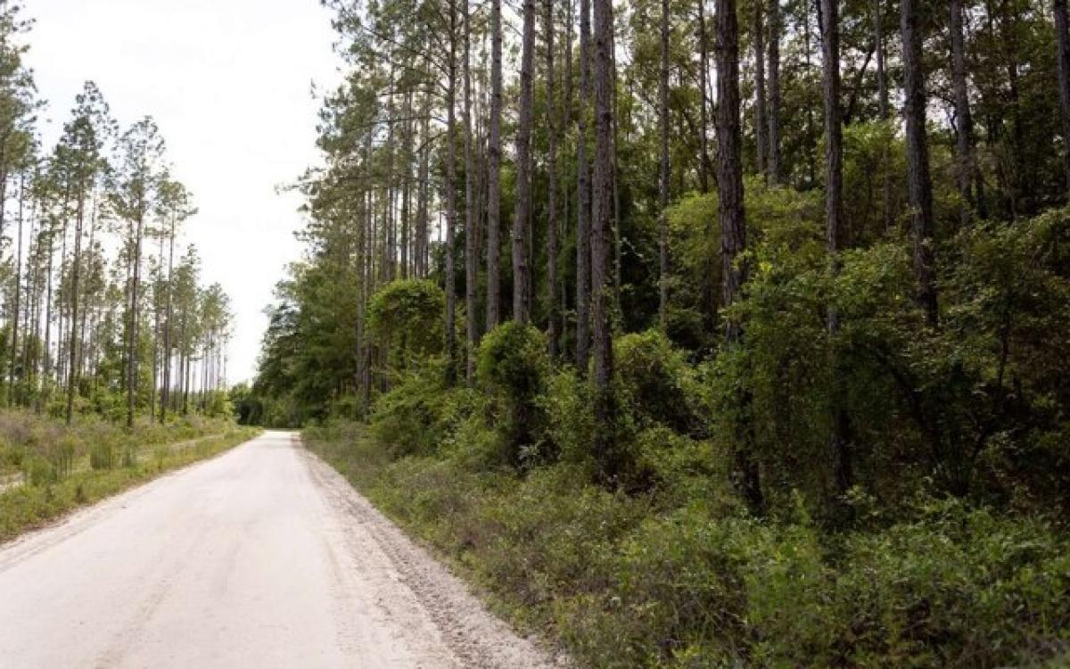 Picture of Residential Land For Sale in Live Oak, Florida, United States