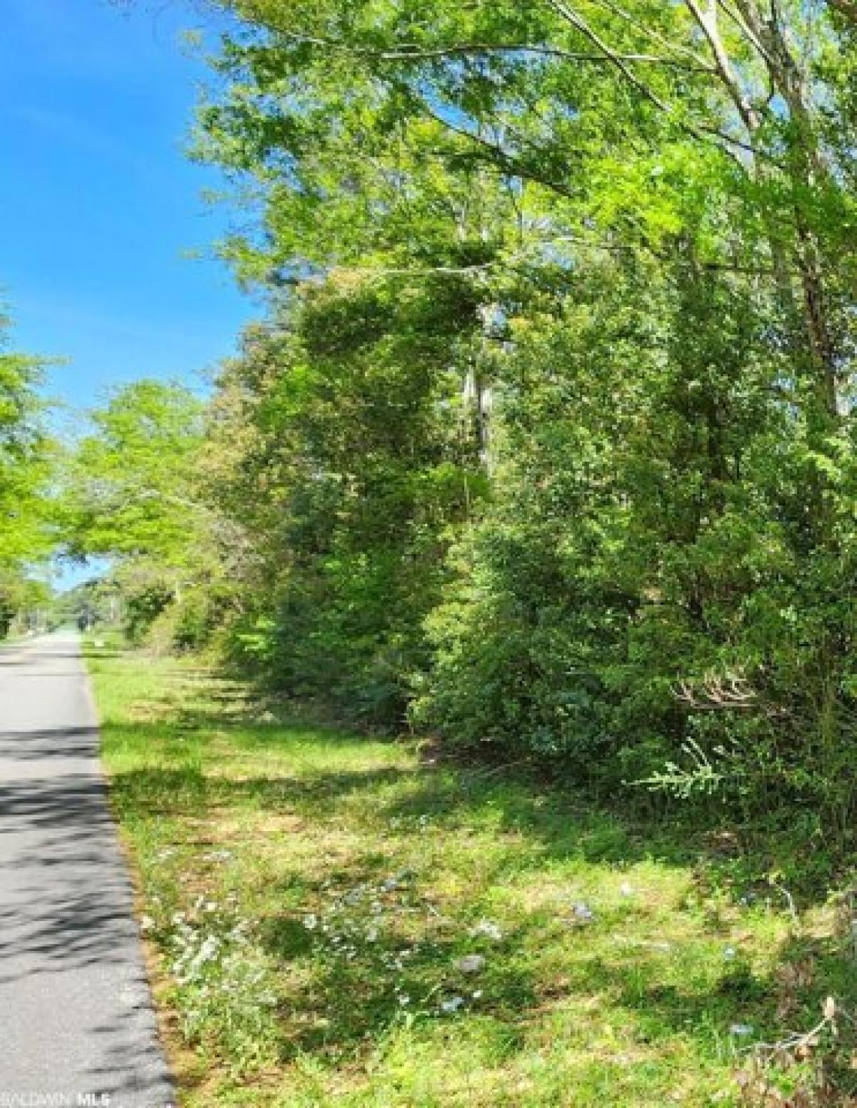 Picture of Residential Land For Sale in Elberta, Alabama, United States