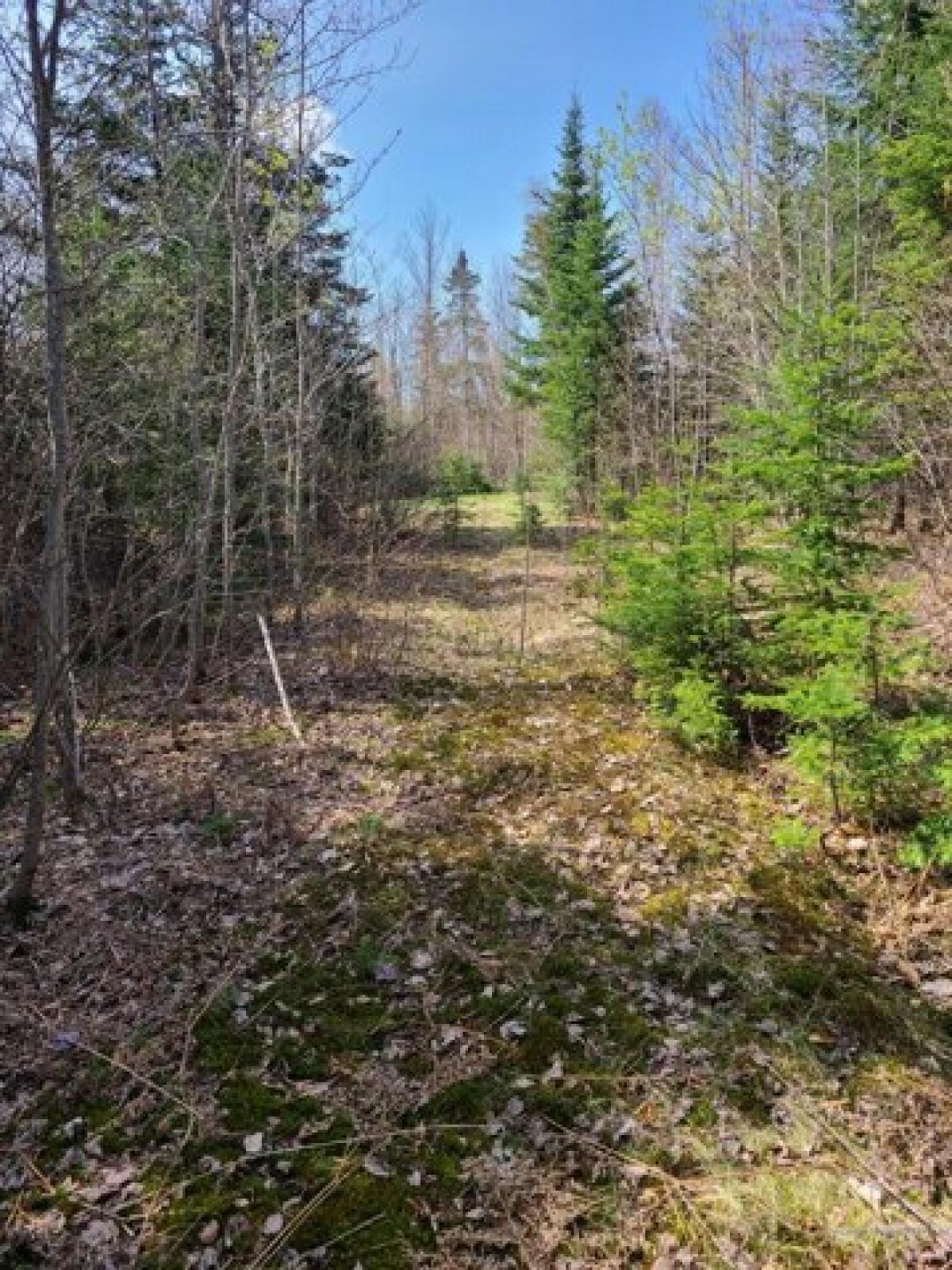 Picture of Residential Land For Sale in Eustis, Maine, United States