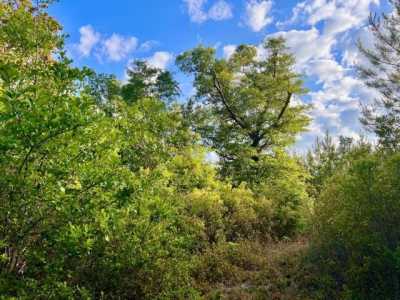 Residential Land For Sale in Pace, Florida