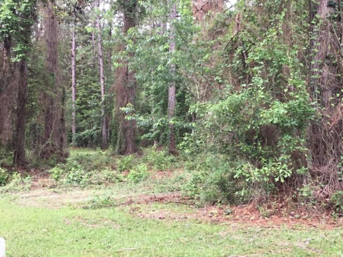 Picture of Residential Land For Sale in Deridder, Louisiana, United States