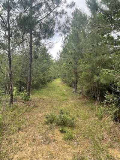 Residential Land For Sale in Hattiesburg, Mississippi