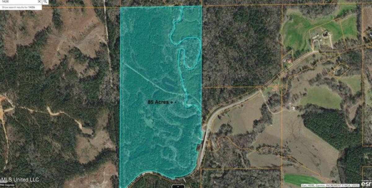 Picture of Residential Land For Sale in Mize, Mississippi, United States