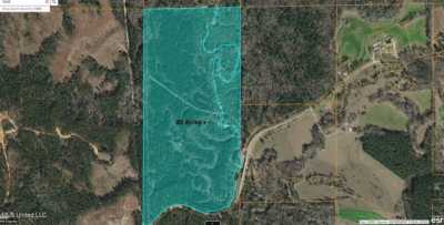 Residential Land For Sale in Mize, Mississippi