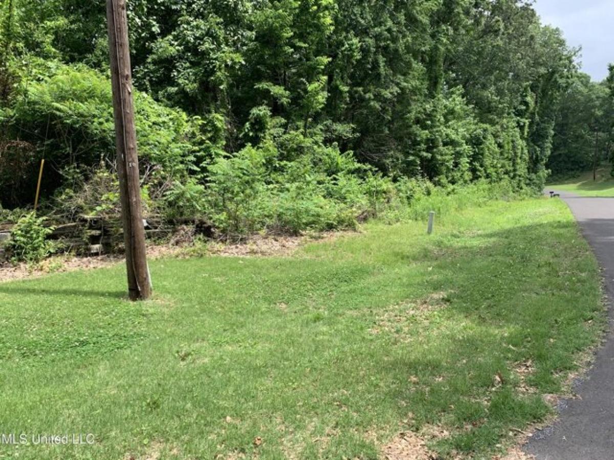 Picture of Residential Land For Sale in Walls, Mississippi, United States