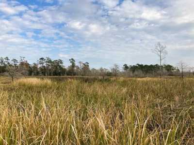 Residential Land For Sale in Vidor, Texas