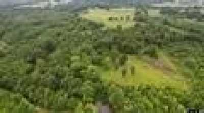 Residential Land For Sale in Pittsburg, Texas