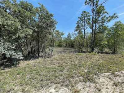 Residential Land For Sale in Morriston, Florida