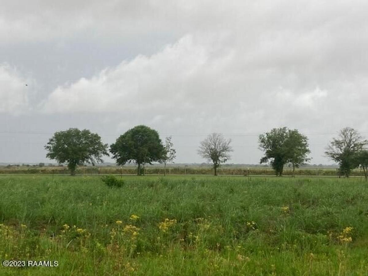 Picture of Residential Land For Sale in Mamou, Louisiana, United States