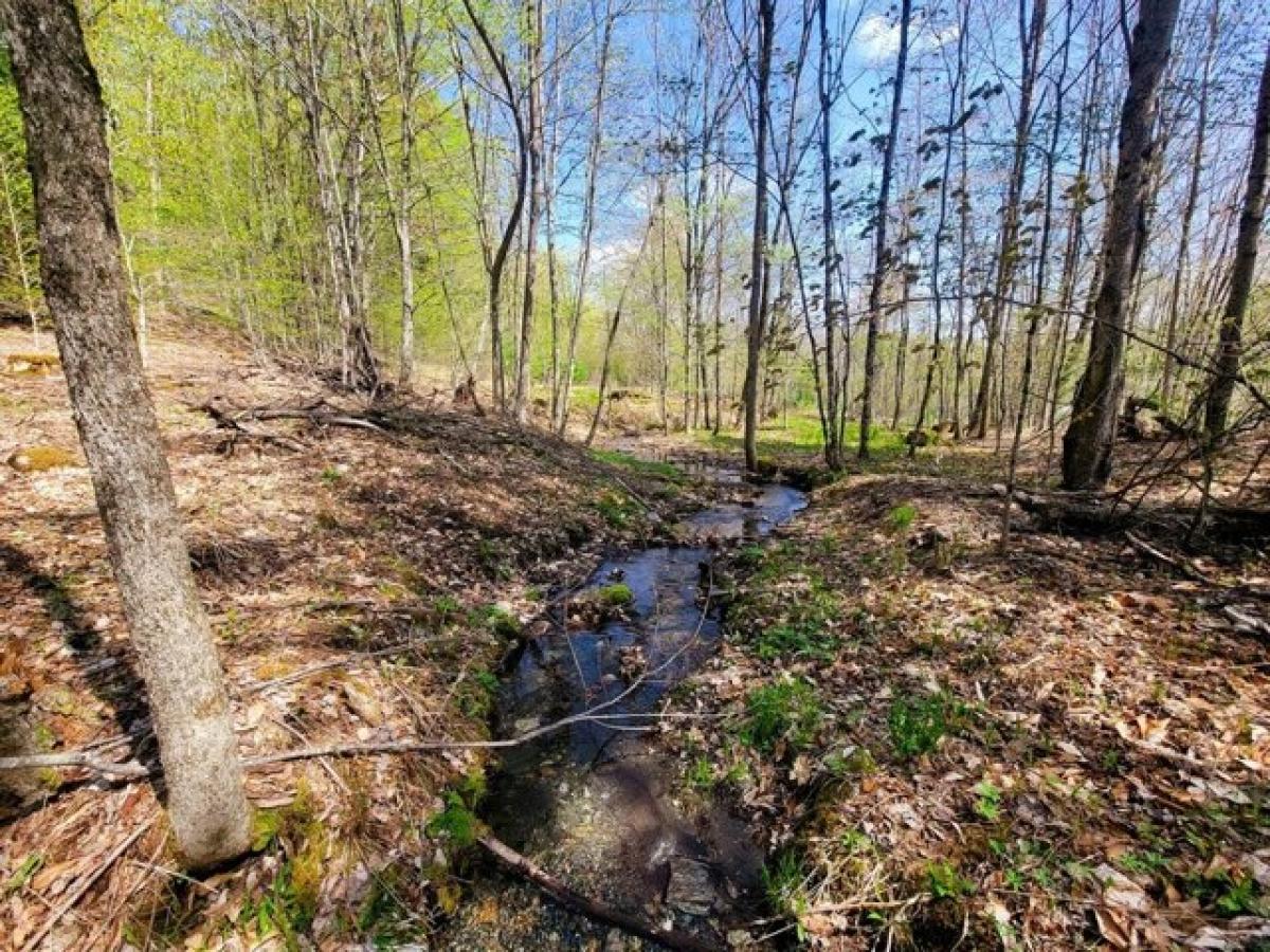 Picture of Residential Land For Sale in Strafford, Vermont, United States