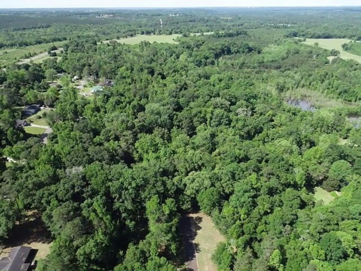 Picture of Residential Land For Sale in Newton, Alabama, United States