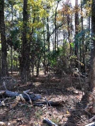 Residential Land For Sale in Eufaula, Alabama