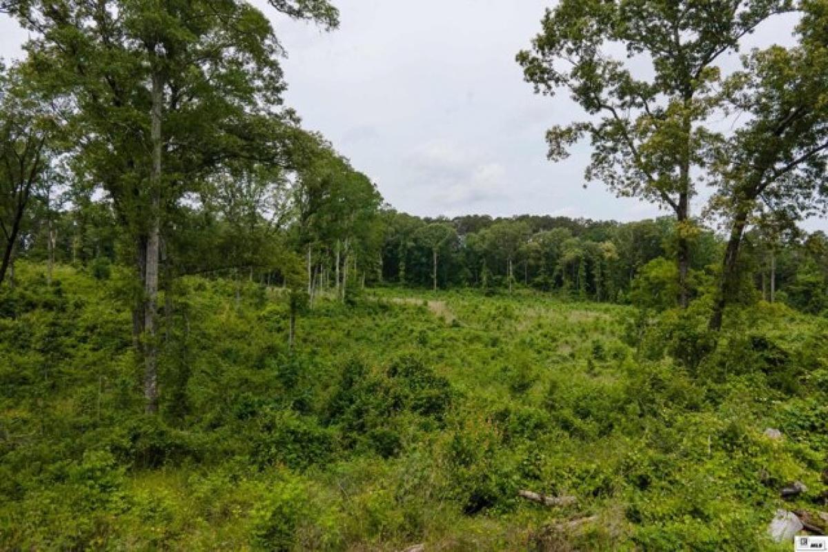 Picture of Residential Land For Sale in West Monroe, Louisiana, United States