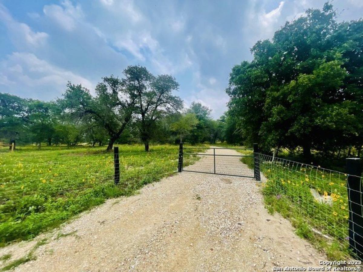 Picture of Residential Land For Sale in Elmendorf, Texas, United States