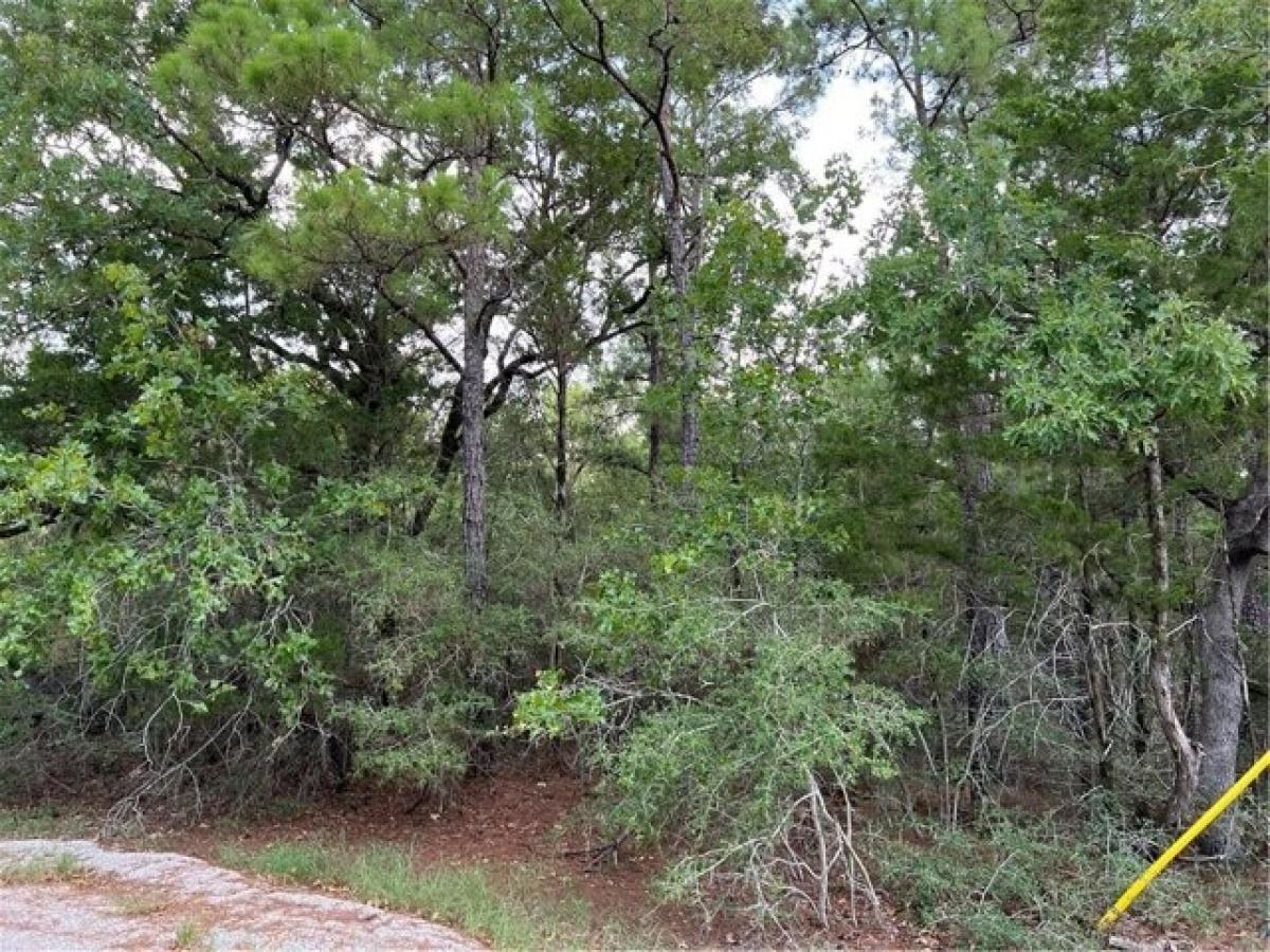 Picture of Residential Land For Sale in Bastrop, Texas, United States