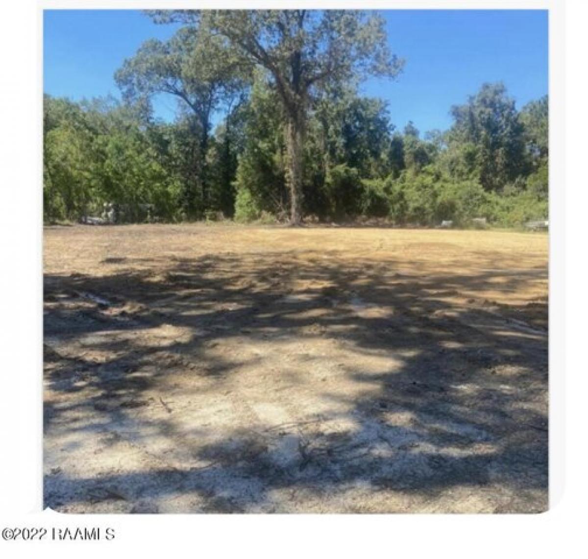 Picture of Residential Land For Sale in Ville Platte, Louisiana, United States