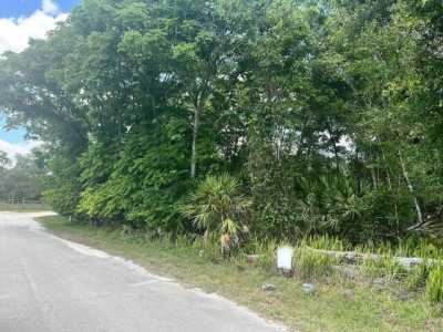 Residential Land For Sale in De Leon Springs, Florida