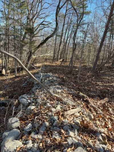 Residential Land For Sale in Stanley, Virginia