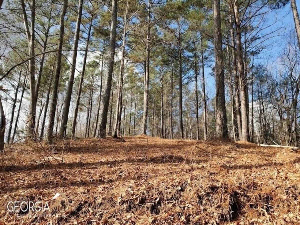 Picture of Residential Land For Sale in Ball Ground, Georgia, United States