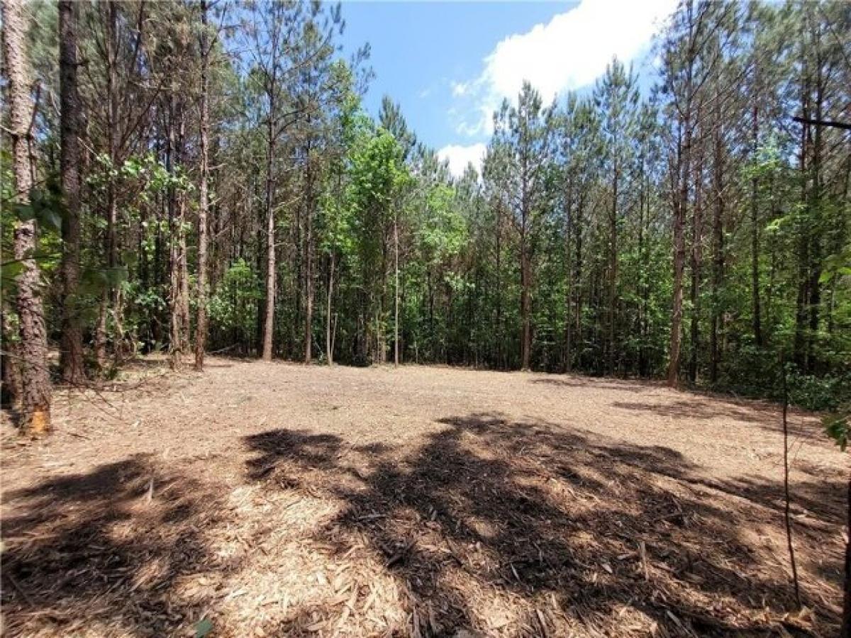 Picture of Residential Land For Sale in Sugar Valley, Georgia, United States