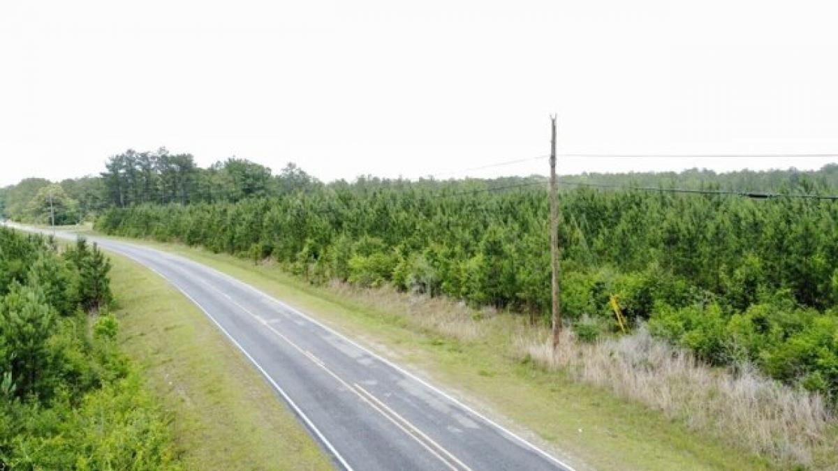 Picture of Residential Land For Sale in Wiggins, Mississippi, United States