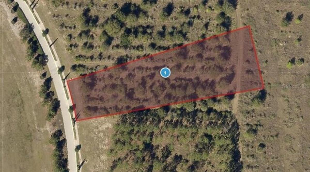 Picture of Residential Land For Sale in Montverde, Florida, United States