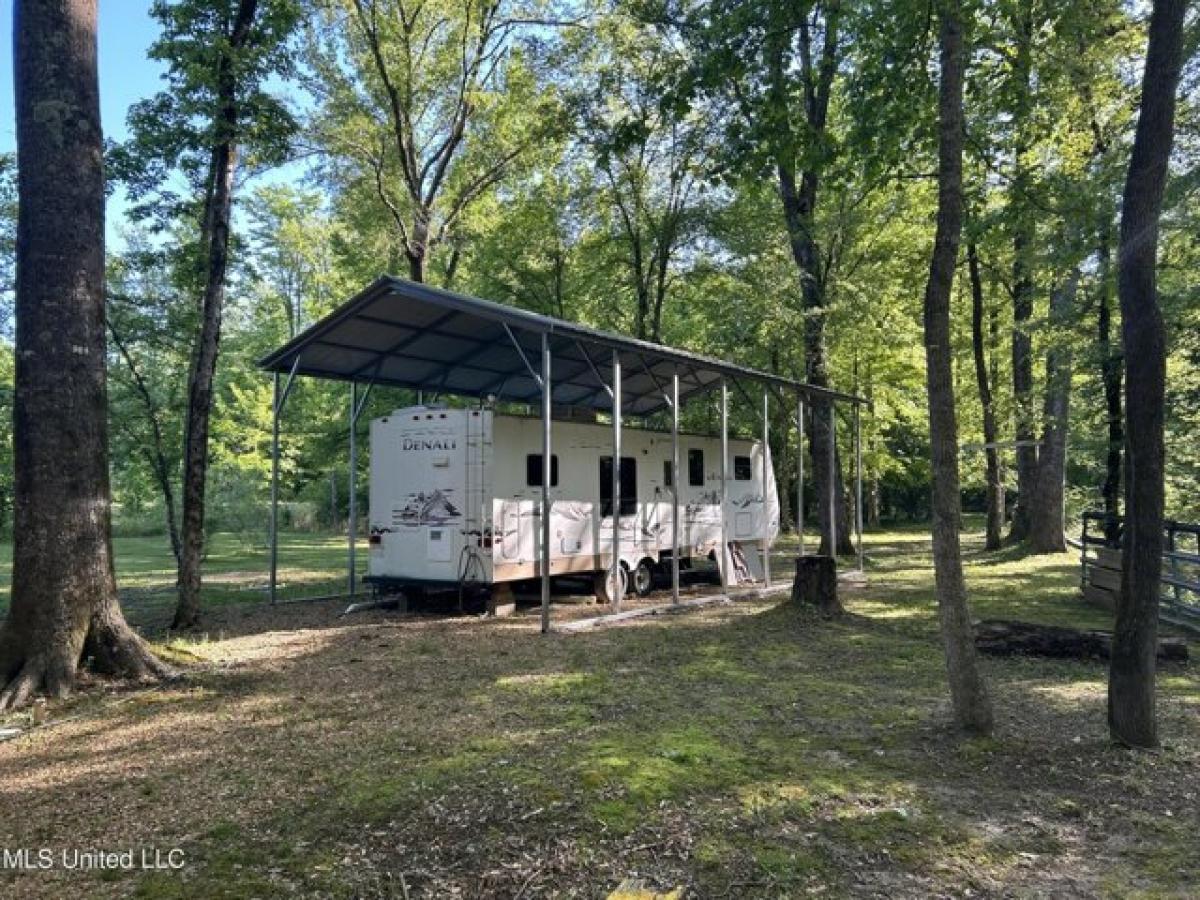 Picture of Residential Land For Sale in Lexington, Mississippi, United States