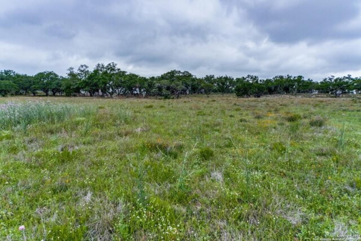 Picture of Residential Land For Sale in Bulverde, Texas, United States