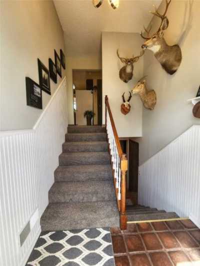 Home For Sale in Choteau, Montana